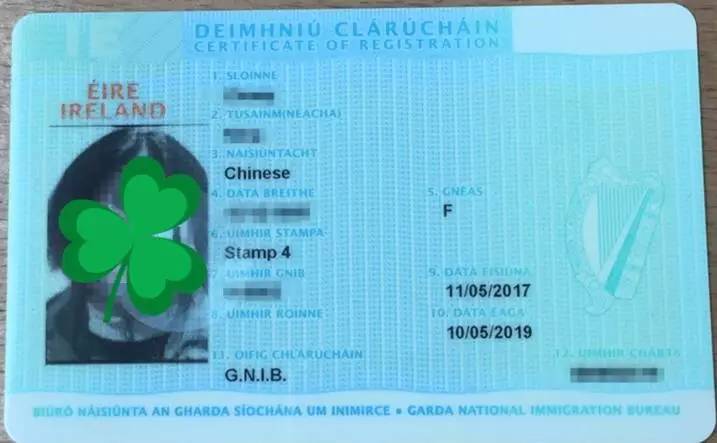 喜羊羊与灰太狼之飞马奇遇记