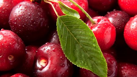 在远处永远守候着你