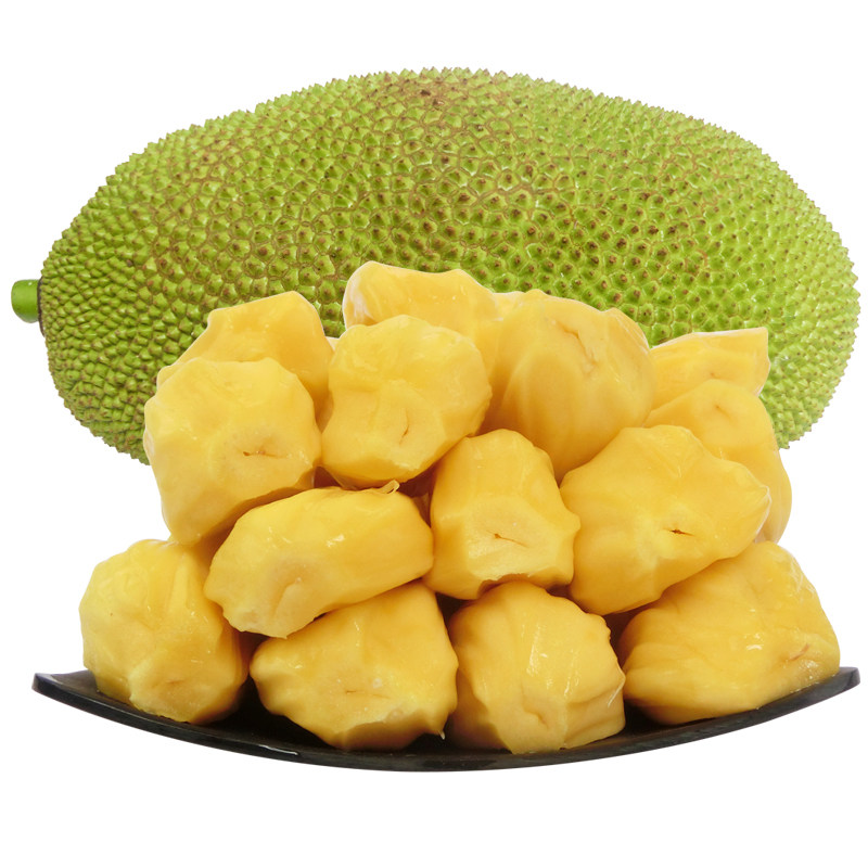 初识与告别之间