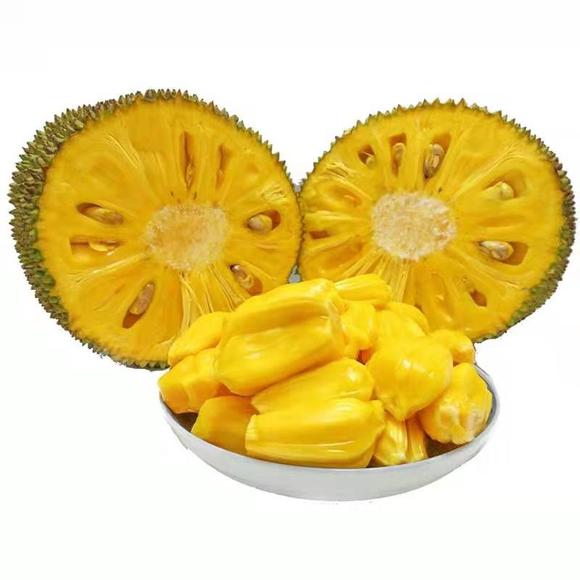 哆啦A梦:大雄的金银岛(国语版)