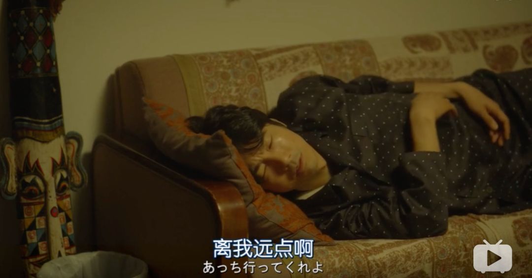 动物之家婚礼记