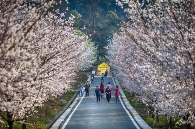 华严小镇2之藏踪